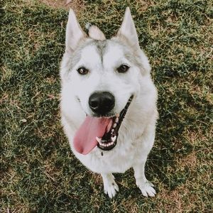 Meet your Posher, Elisa